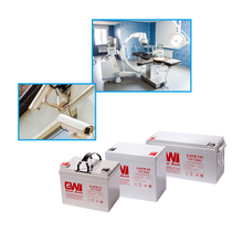 GW Brand Car Battery 12V 17Ah VRLA/UPS Batteries